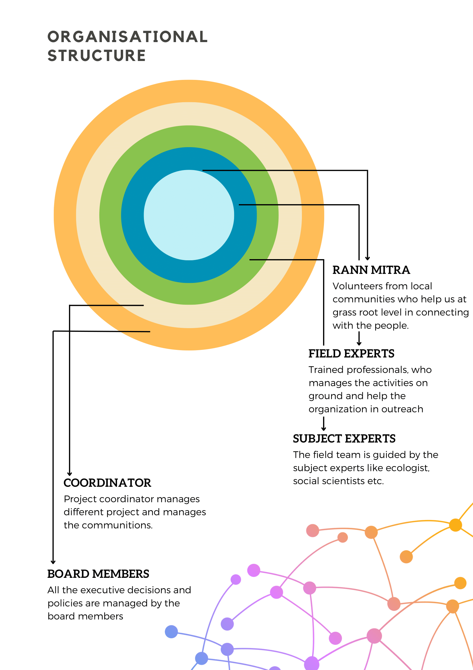 Organization Structure